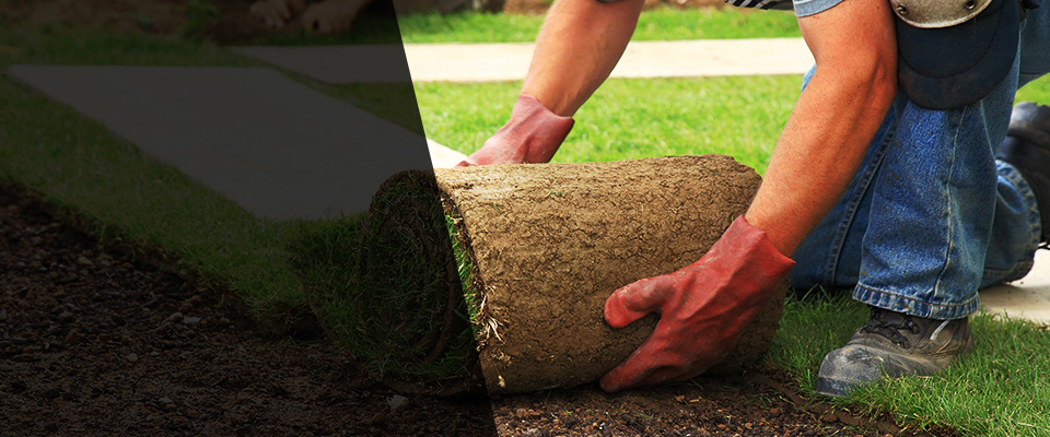 Hanover Park Landscapers